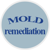 Mold Remediation