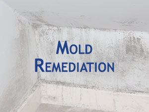 Mold Remediation